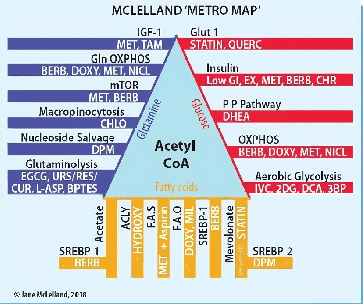 McLelland metro map, din cartea How to Starve Cancer